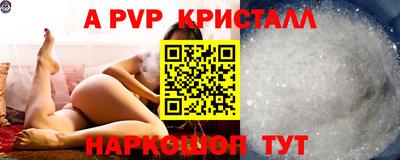 СК Бердск