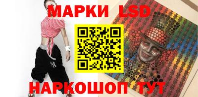СК Бердск