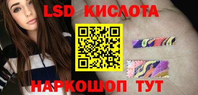 СК Бердск