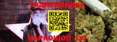 СК Бердск