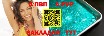 СК Бердск