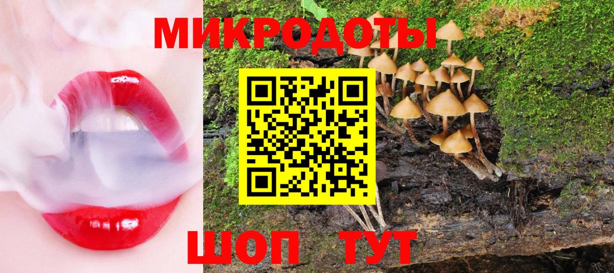 Псилоцибиновые грибы Psilocybe  Вход с VPN  Благодарный 